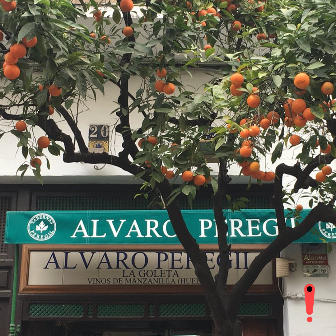 Taberna Alvaro Peregil