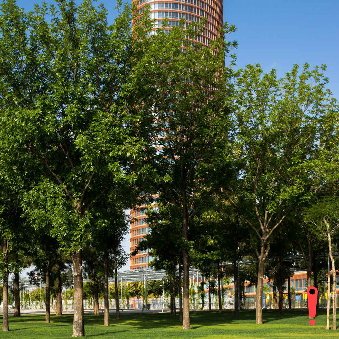 Parque de Magallanes