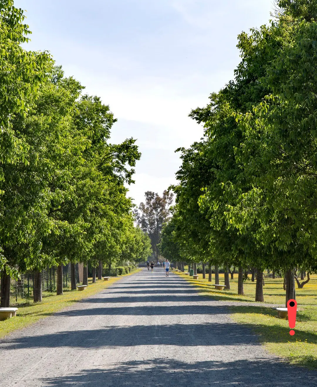 Parque del Alamillo