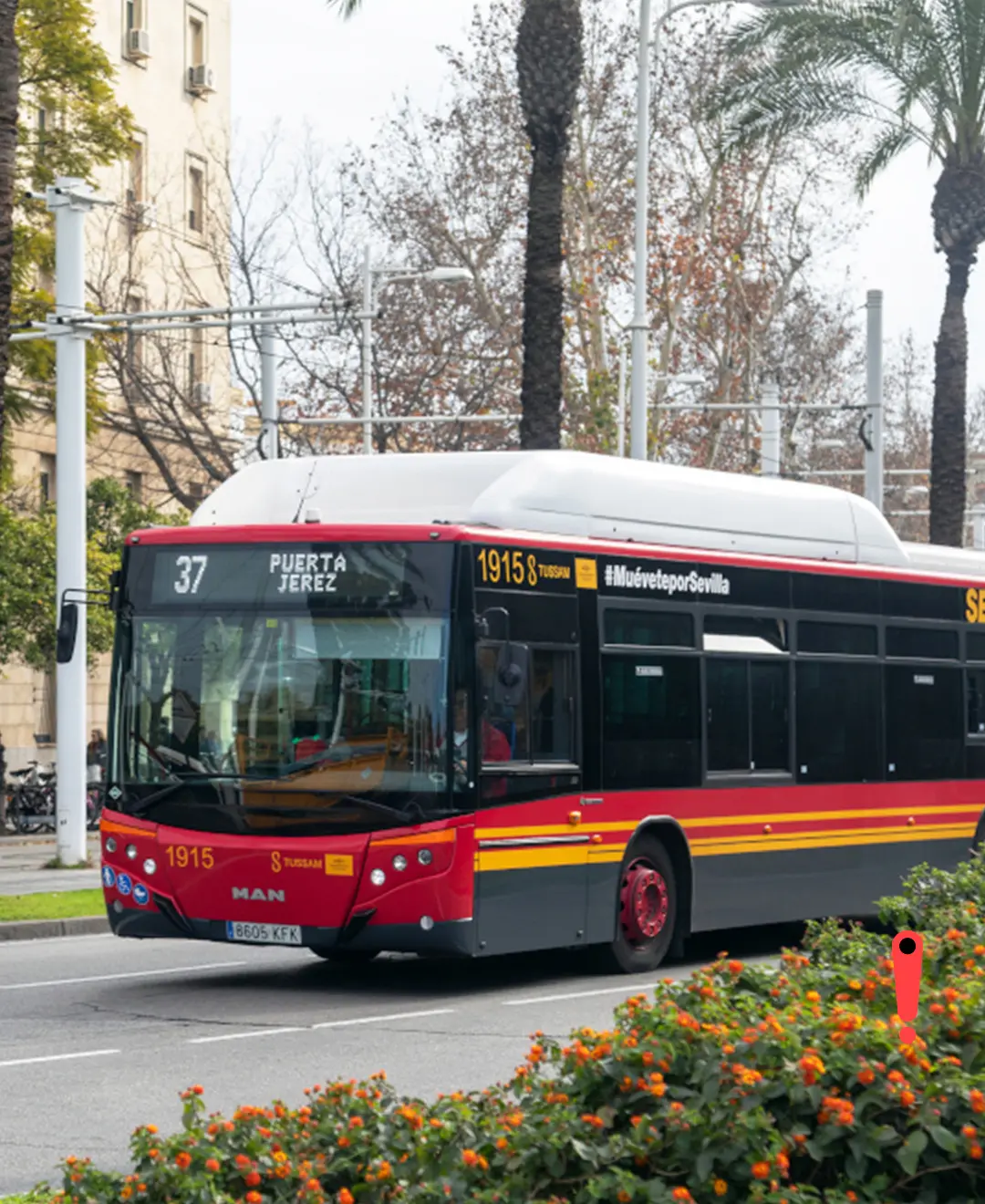 Transporte público – Tussam