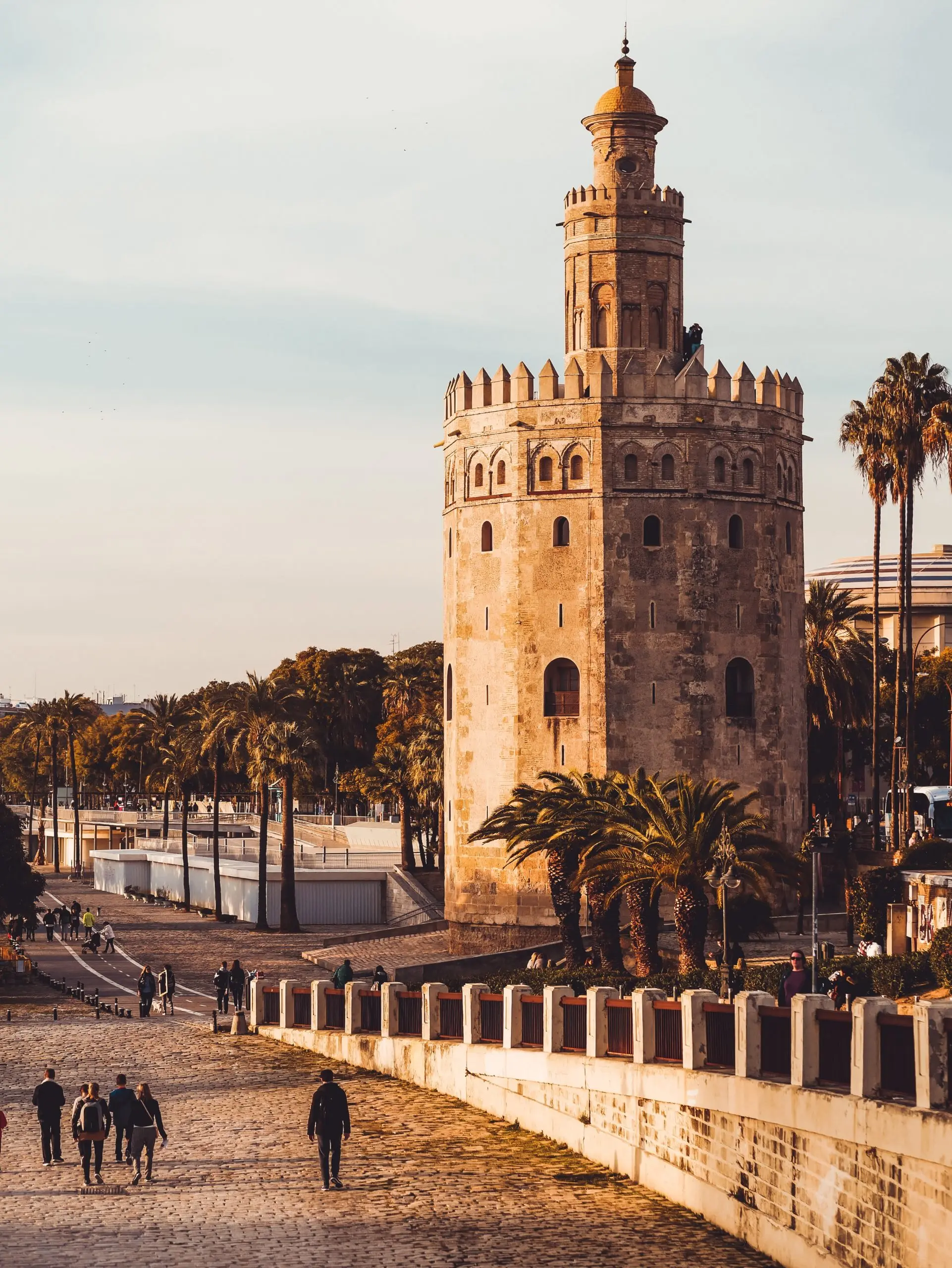 PLAN TORRE DEL ORO