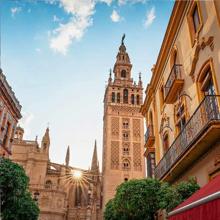 Tour Catedral