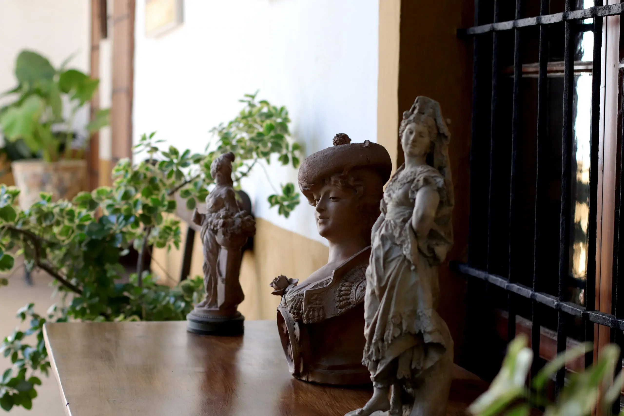 VISITA NOCTURNA MÚSICA Y SUEÑOS