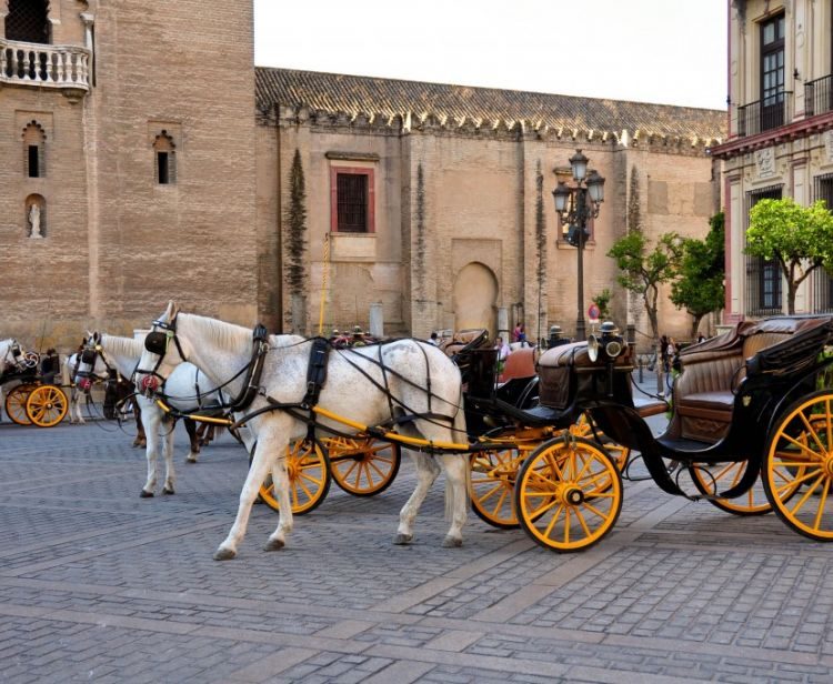 coches-de-caballos-sevilla-1_listado