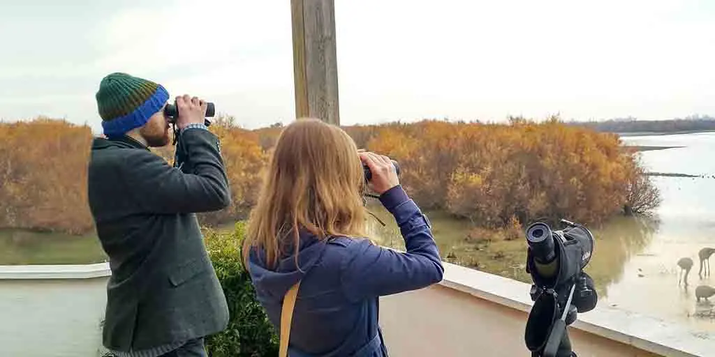 Excursión Doñana desde sevilla 2 días y una noche