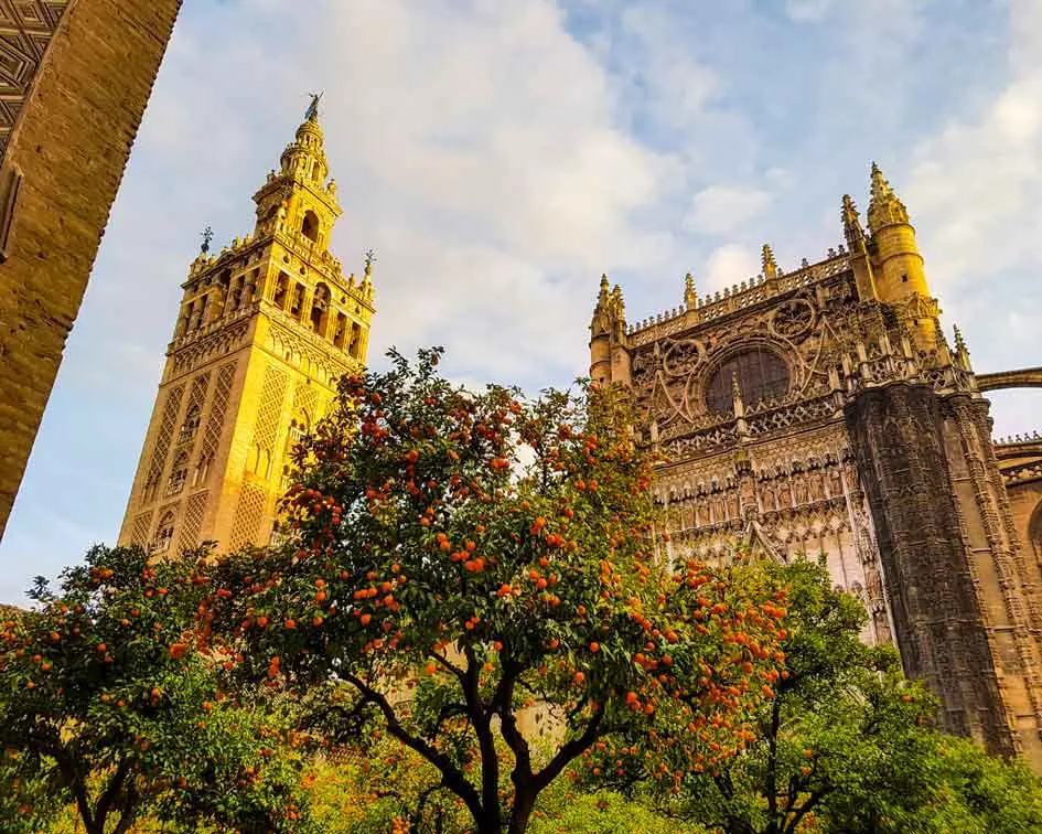 Monumental + Santa Cruz