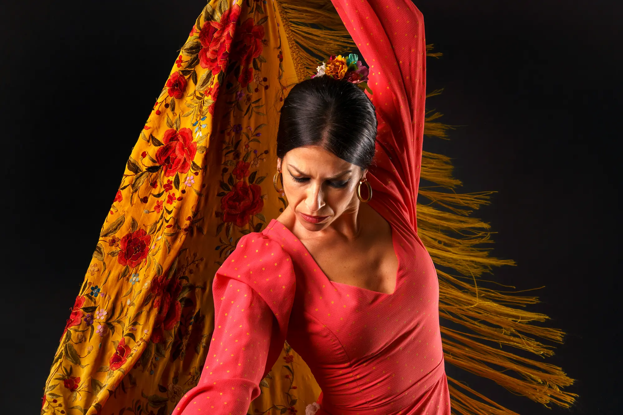 Flamenco pasión