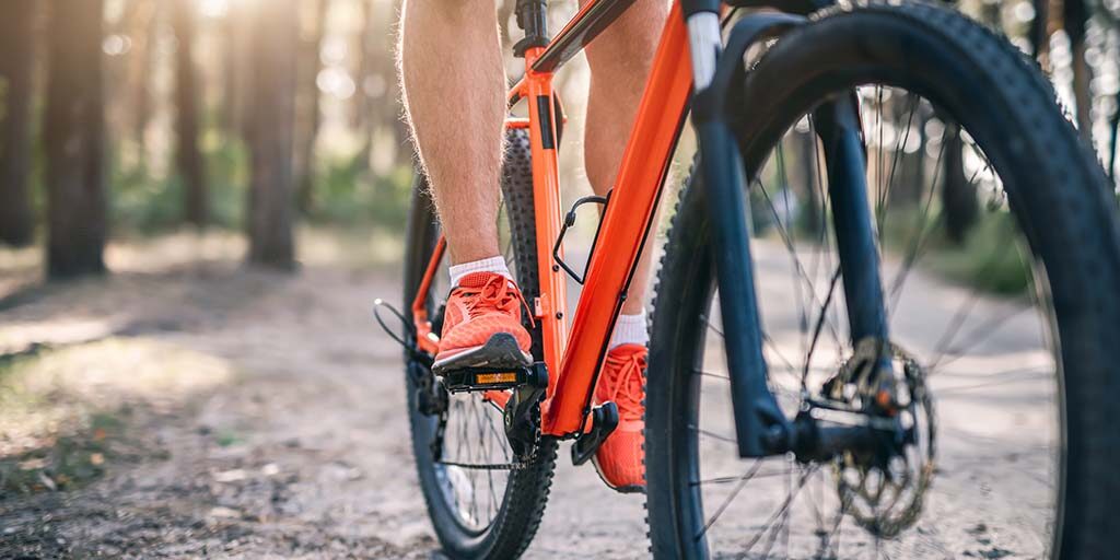 tour en bicicleta desde sevilla